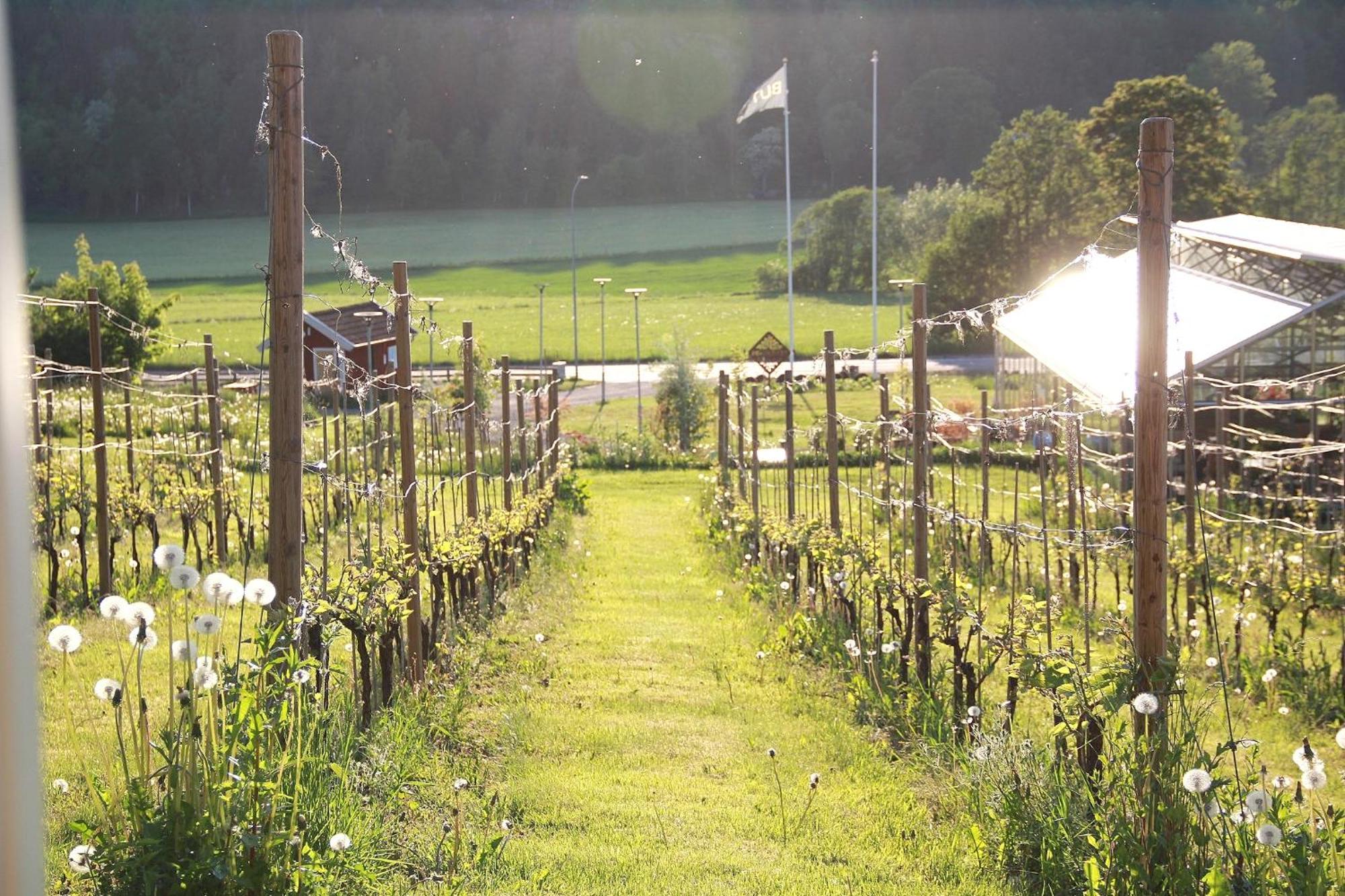 Gisebo Vingard Bed & Breakfast Huskvarna Exterior foto